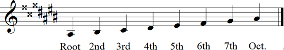 A# Major Diatonic Scale up to octave