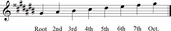 G# Major Diatonic Scale